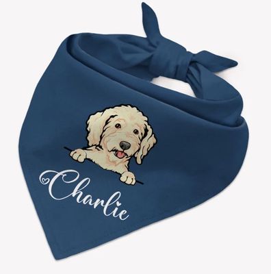 Cotton Bandanas